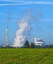 Sugar Industry Sugar Industry